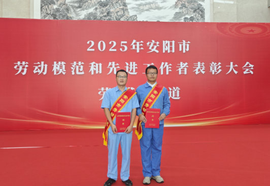 ϲ28С˫˫񡰰Ͷģƺ